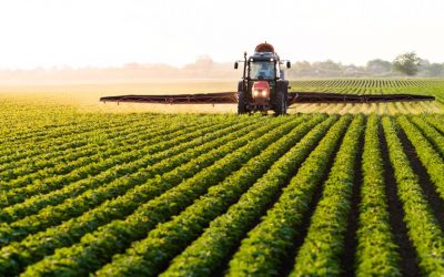 Land- und Forstwirtschaft: Erbschaftsteuer
