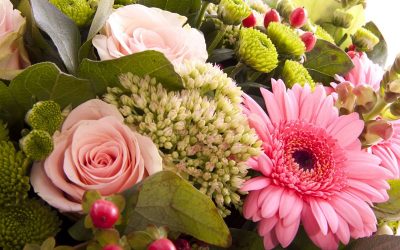 Bestattungsvorsorge: Keine außergewöhnlichen Belastungen