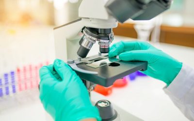 Umsatzsteuer: Medizinische Analysen eines Facharztes