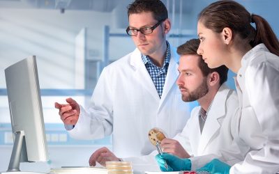 Steuerfreie Zuschläge auf den Grundlohn