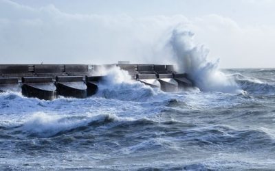 Sturmflut in Schleswig-Holstein: Steuererleichterung 