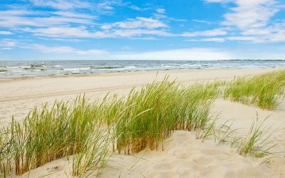 Ferienwohnung: gewerbliche oder private Vermietung