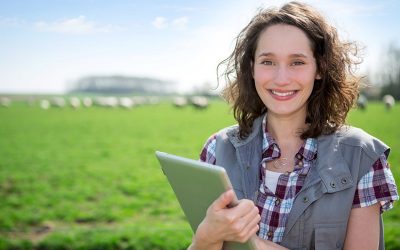 Land- und Forstwirtschaft: Durchschnittssätze