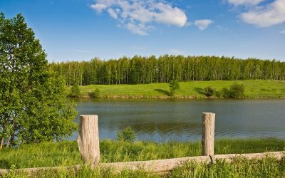 Grundsteuer: Beurteilung des Bodenwerts