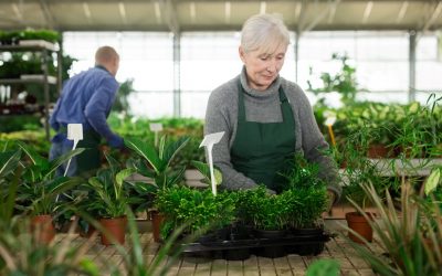 Minijob: Auswirkungen bei schwankendem Verdienst